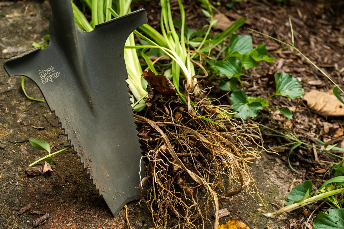 RootSlayer