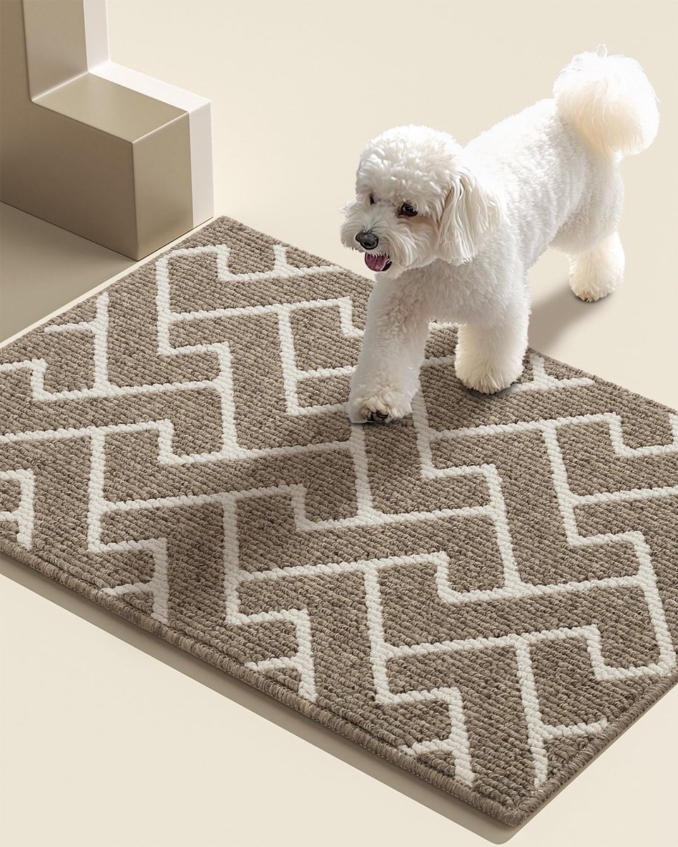 Famanu Deurmatten voor Binnen, 50x80cm, Antislip Achterkant,Vuilvangmat,Absorberende Antislip Deurmat voor Ingang, Binnen, Keuken, Voordeur, Huisdieren en Tuin (Beige)