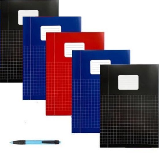 Schriften A4 Ruitjes 10mm - Met Kantlijn - Set van 5 stuks - Basic kleuren - Inclusief GRATIS Balpen - GRATIS verzonden