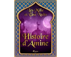 Les Mille et Une Nuits 17 - Histoire d'Amine
