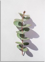 DesignClaud Eucalyptus blad tak abstract - Botanische poster A3 poster (29,7x42 cm)