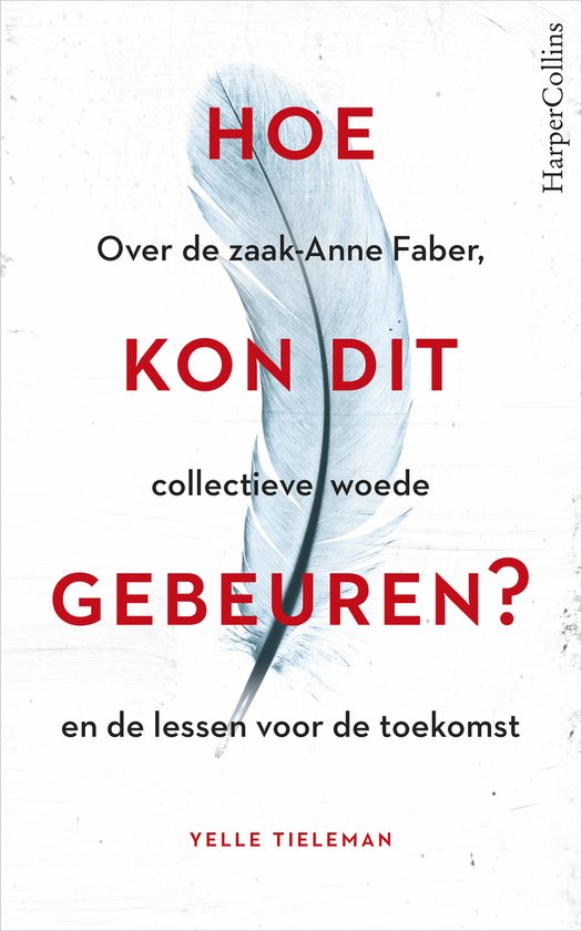 Hoe kon dit gebeuren? - cover