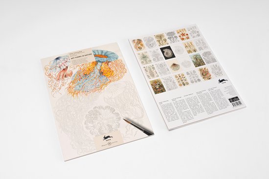Artists' colouring book - Art Forms in Nature
