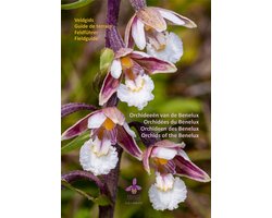 Orchideeën van de Benelux