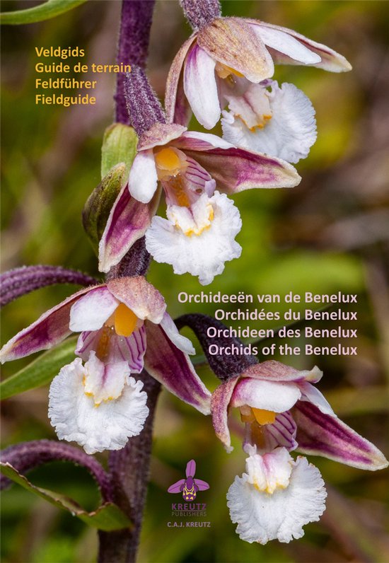 Orchideeën van de Benelux - cover