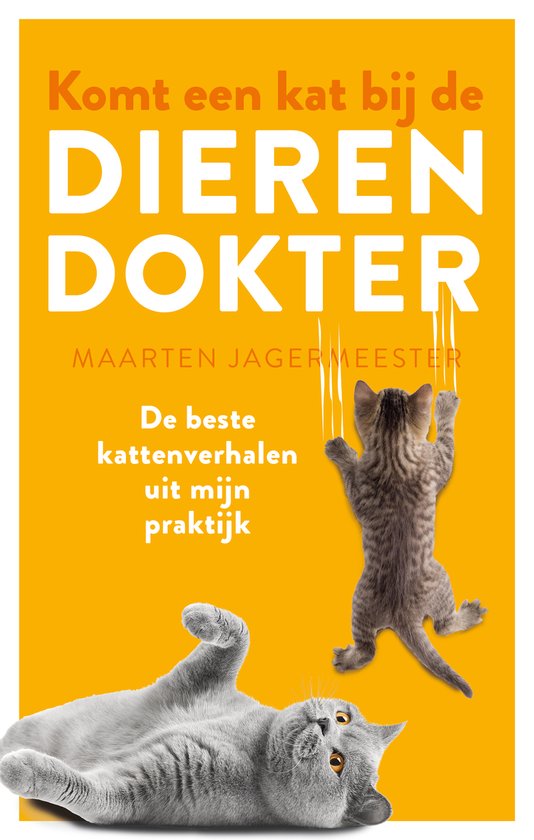 Komt een kat bij de dierendokter