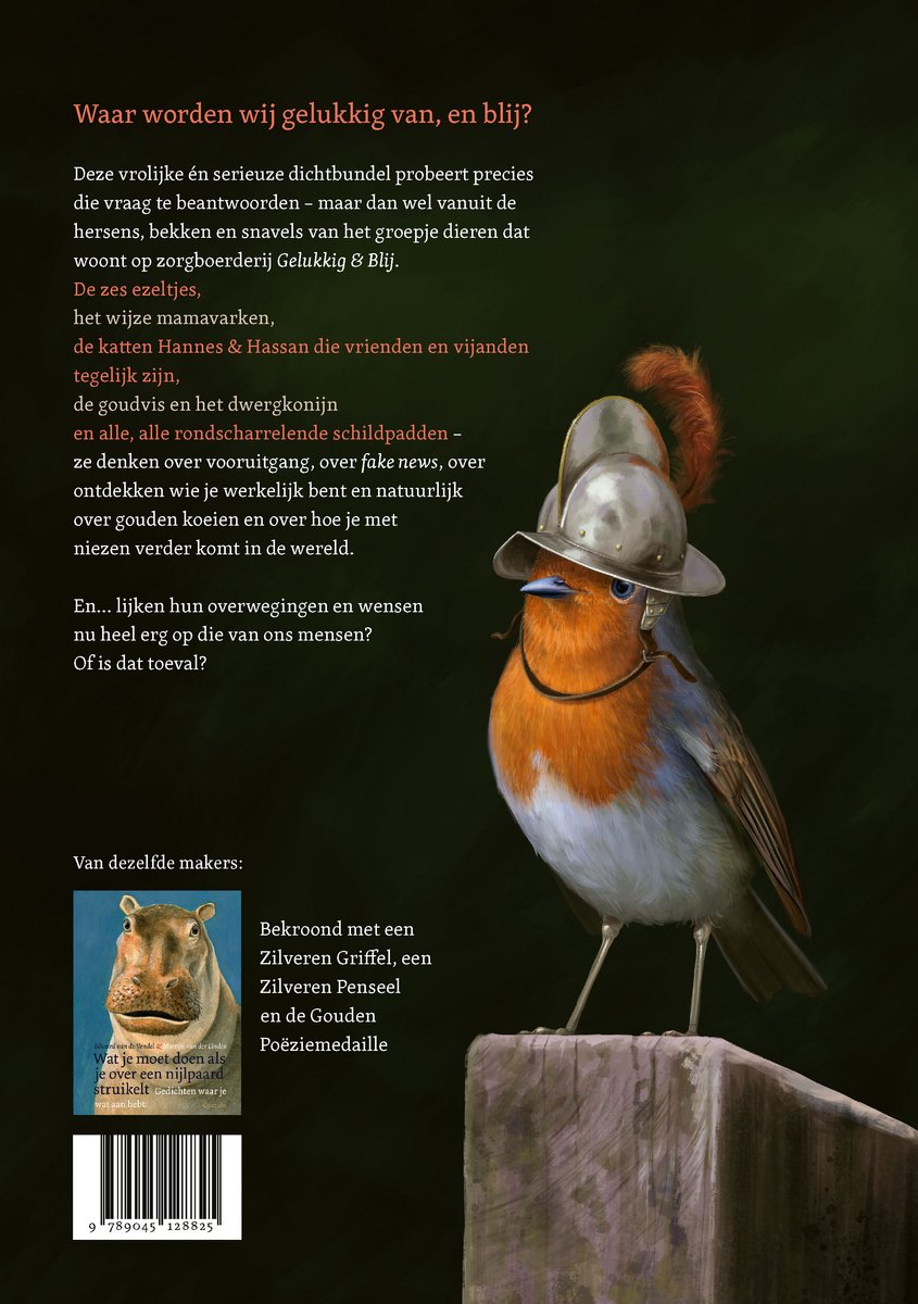 Roodborstje met een musketiershelm en veren, zittend op een houten paaltje.