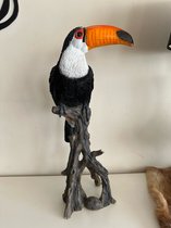 Goodyz- Vogels - Vogel - kleurrijke vogel- Toekan- Toekan op tak - 60cm hoog
