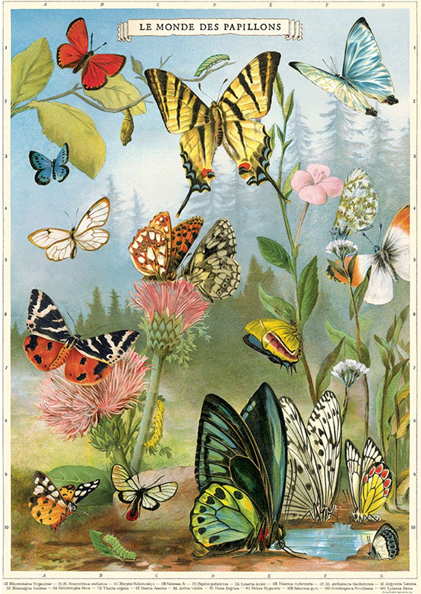 Cavallini & Co Poster Vlinders 4 - Cavallini & Co - Butterlfy Posters - Schoolplaat Vlinder Multi Color Vlinders