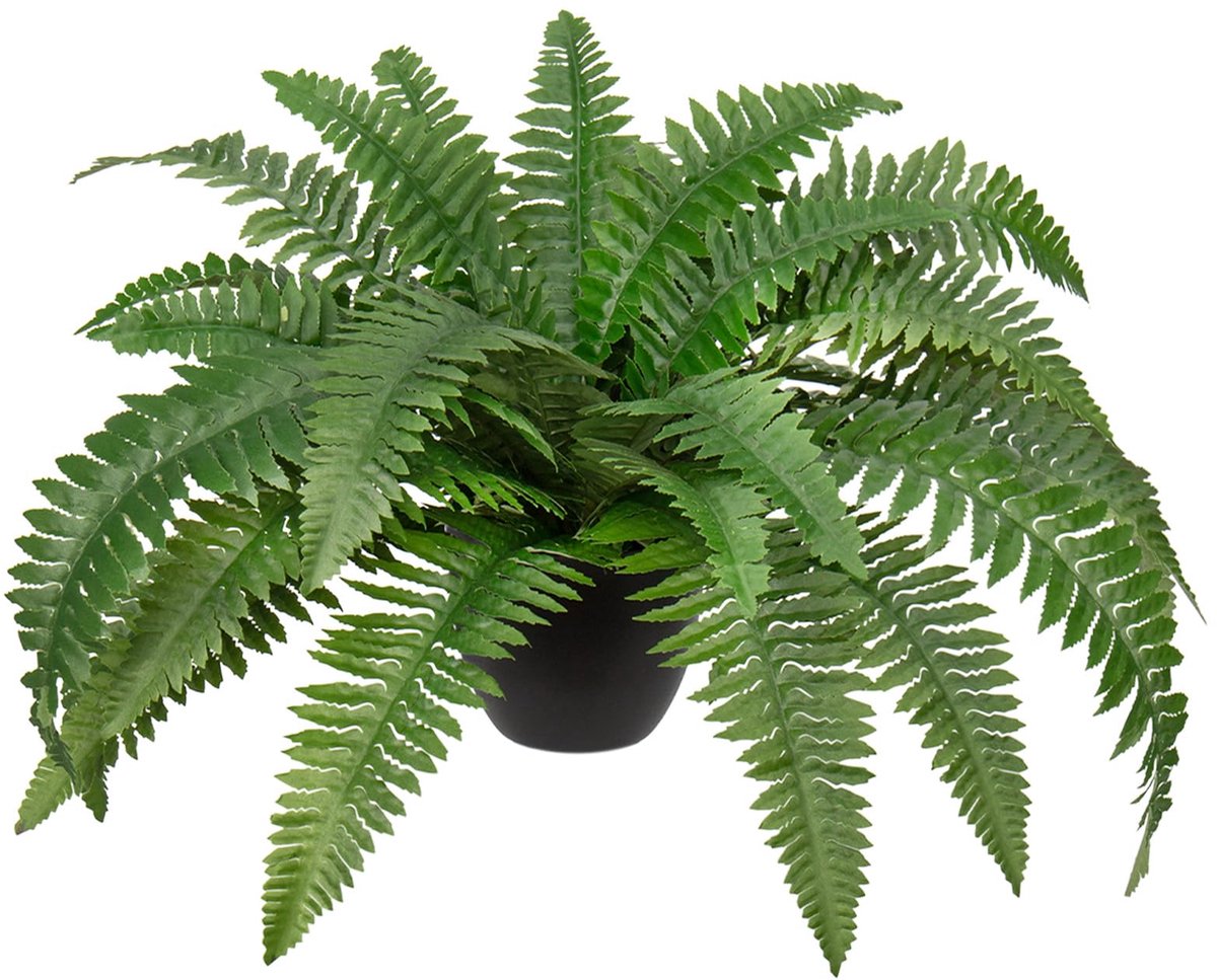 Ibenzoa Grote Natuurlijke Uitstraling Kunstplant voor Binnen en Buiten - 60 cm Boston Varen in Zwarte Pot kleur1