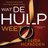 Digitaal luisterboek