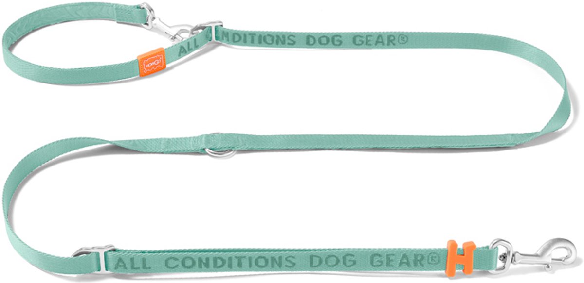 HowGo™ 8-in-1 Dog Training Leash (Mint) - 1 Leash 8 Uses / Walking Running Jogging Training / Hands Free / Lightweight 140 grams / Durable Nylon / Adjustable 1.3m to 2.2m / wtih Padded Handle / Crossbody Waist / for All Size Dogs for All Breeds