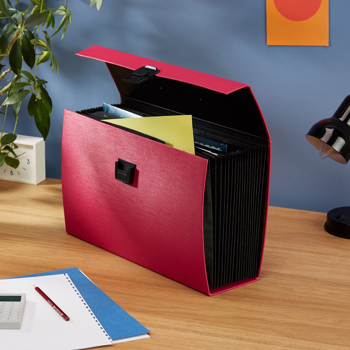 Ibenzoa® Uitgebreide Documentenbox met 19 Vakken, Fuchsia