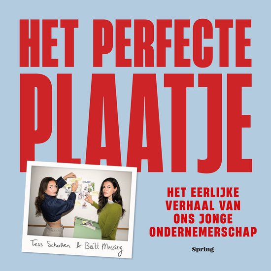 Het perfecte plaatje - cover