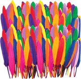 Regenboog Van Magische Veren Om Je Verbeelding Te Inspireren Stock Regenboog Van Magische Veren Om Je Verbeelding Te Inspireren Stock