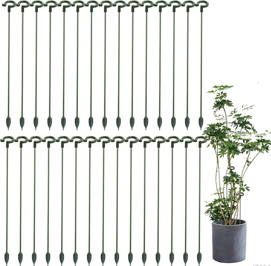 Plantensteun Rond met Ring 22cm kopen