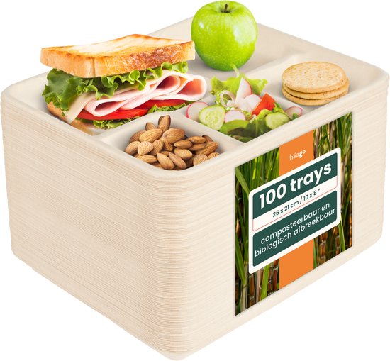 HAAGO 100 Wegwerp Vierkante Suikerriet Bagasse Borden met 5 Compartimenten (26cm) - Sterk, Biologisch Afbreekbaar en Thuis Composteerbaar