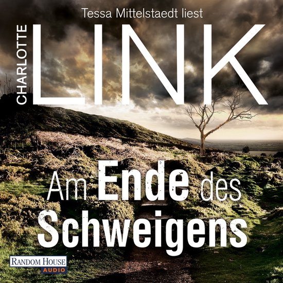 Am Ende des Schweigens - cover