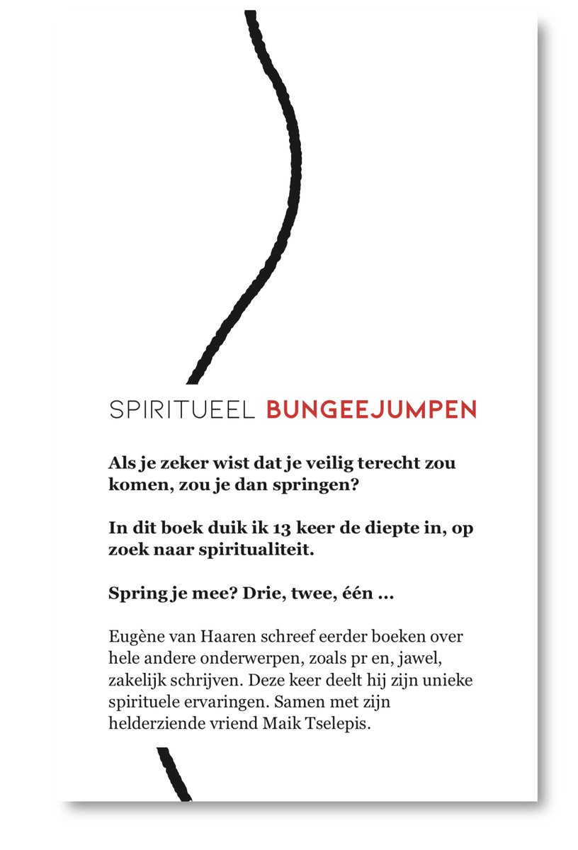 Spiritueel bungeejumpen - back cover