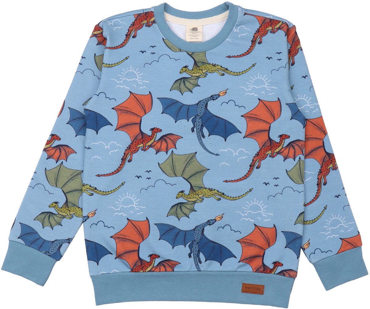 Sweater Dragons maat 110