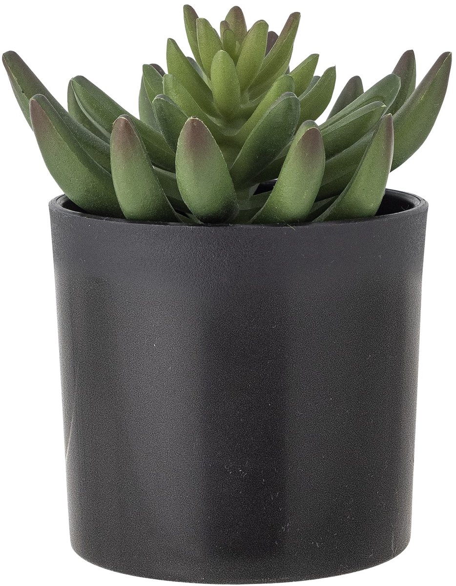 Kunstplant Echeveria Plant