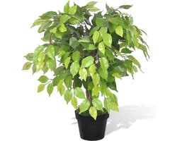 vidaXL - Kunst - vijgenboom - met - pot - 60 - cm