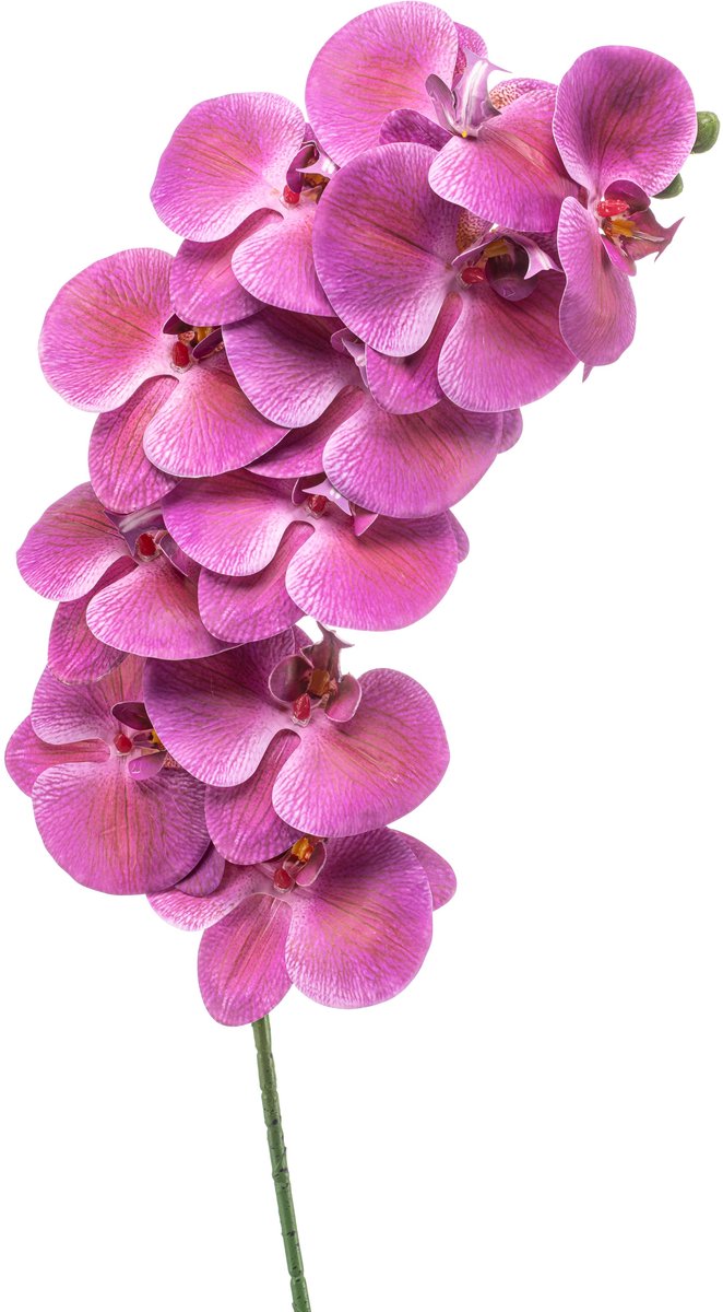 Emerald Kunstbloem Phalaenopsis beauty 100cm - Kunstplant voor binnen