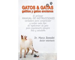 GATOS & GATAS gatitos y gatos ancianos