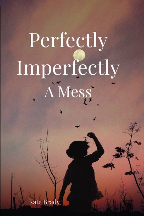 Perfectly Imperfectly A Mess - cover