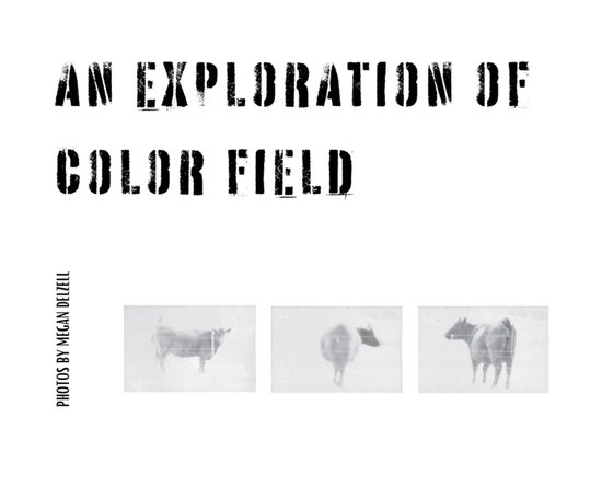An Exploration In Color Field - cover