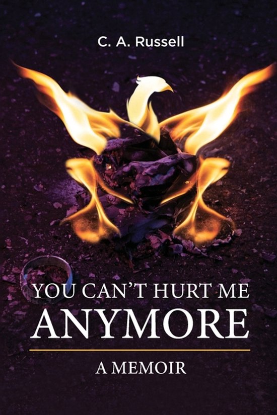 You Can't Hurt Me Anymore - cover