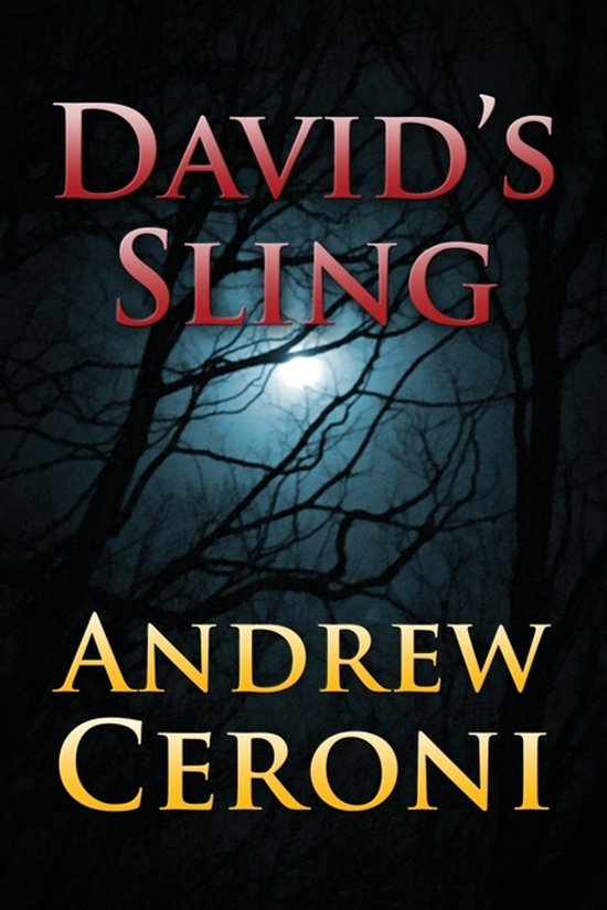David's Sling - cover