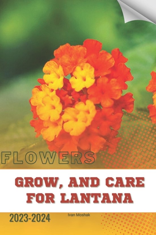 Grow, and Care For Lantana