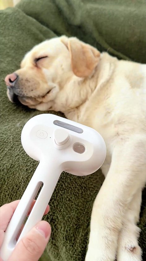 Harley - Stoomborstel voor Katten en Honden - Stoomborstel Kat - Stoomborstel Hond - Hondenborstel - Kattenborstel - GROOMSY