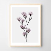 Postercity - Design Canvas Poster Magnolia Plant  / Muurdecoratie / 40 x 30cm / A3
