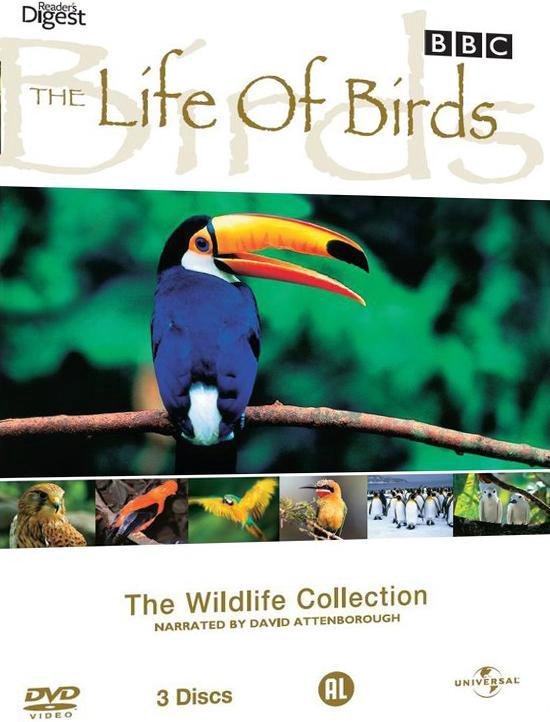 Bbc The Wildlife Collection Life Of Birds Dvd Dvds