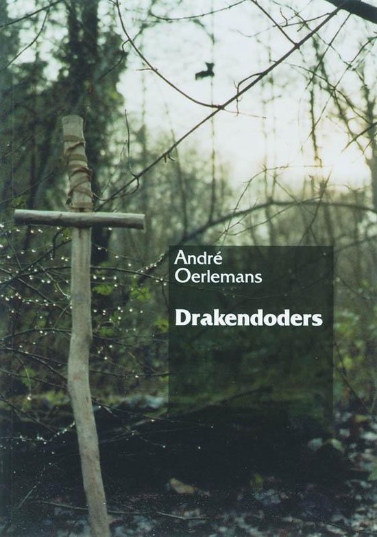 Cover van het boek 'Drakendoders' van Andre Oerlemans