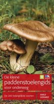 De kleine paddenstoelengids voor onderweg