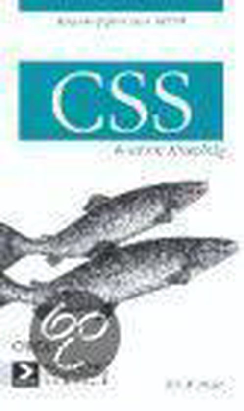 Cover van het boek 'CSS'