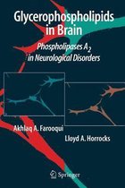 Glycerophospholipids in the Brain