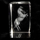 kristal glas laserblok met 3D afbeelding van Paard 5x8cm