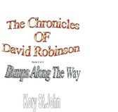 The Chronicles Of David Robinson 2 - The Chronicles of David Robinson - Bumps along the Way