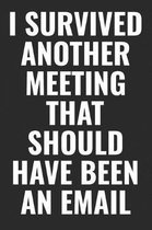 I Survived Another Meeting That Should Have Been An Email