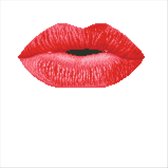 Diamond Dotz® Kussensloop Hot Lips - Diamond Painting (45x45 cm)