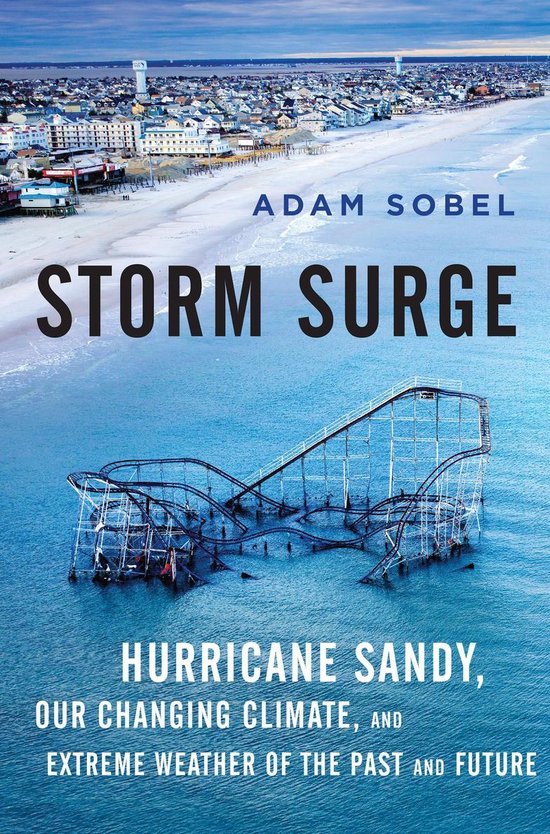 Storm Surge - cover