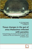 Tissue changes in the gut of arius thalassinus infected with parasites