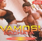 Vamos Bachata, Vol. 14