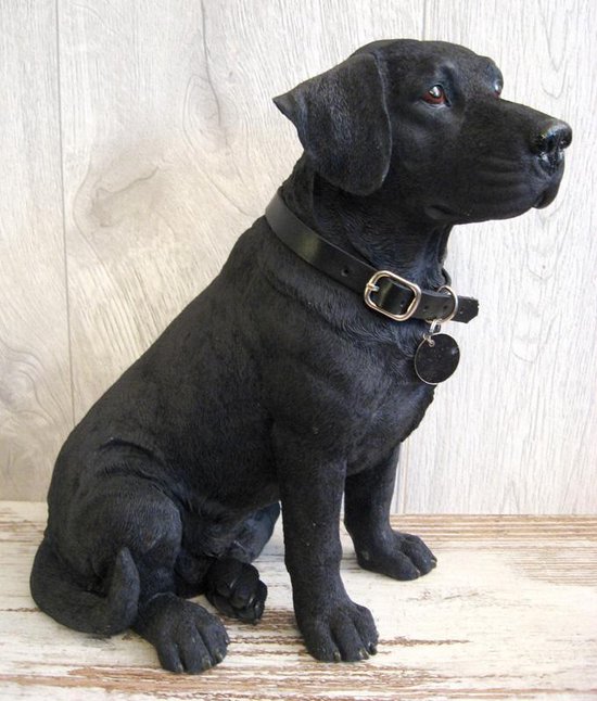 beeld hond Labrador zwart hondenbeeld | bol.com