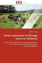 Santé mammaire et Élevage bovin en Wallonie
