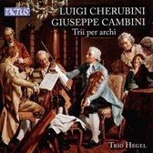Trio Hegel - Trii Per Archi (CD)